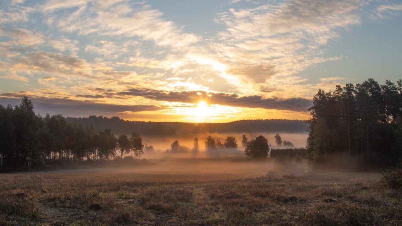 Matalla, pilvien takaa paistava aurinko peltojen ja pienten metsäalueiden yllä. Keskellä kuvaa leijailee usvaa.