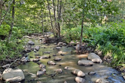 Metsäinen puro kesällä: purossa paljon kiviä kunnostusten jäljiltä.