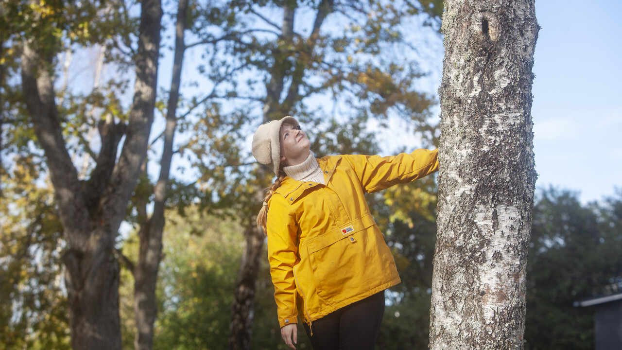 Amanda Vuori pukeutuneena keltaiseen takkiin ja beigeen hattuun. Hän pitää vasemmalla kädellään kiinni puun rungosta ja katsoo ylös kohti puun latvaa.