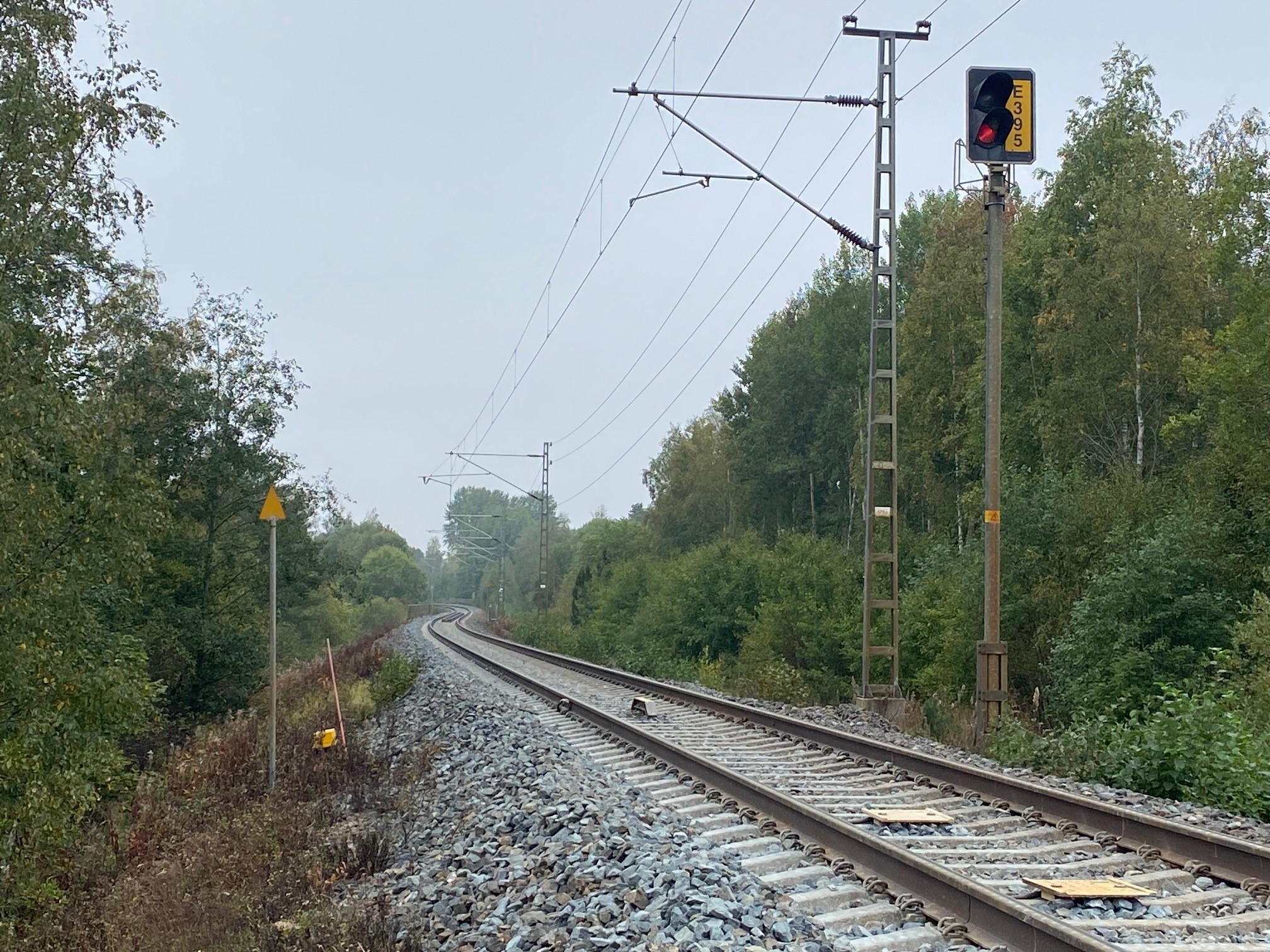 Tyhjät junakiskot keskellä lehtipuiden muodostamaa metsätaivalta