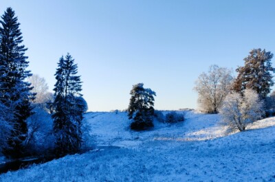 Luminen maisema, jossa puita ja joenuoma.