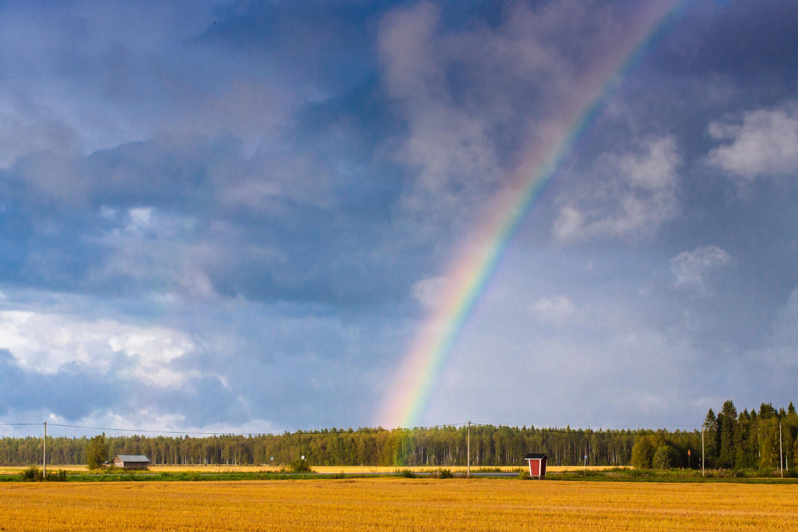 Peltomaisema ja taivas jossa sateenkaari